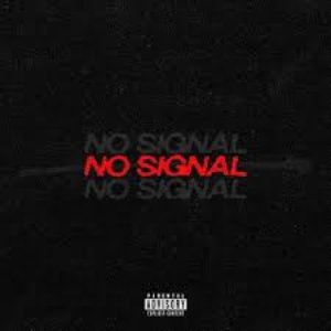 No Signal