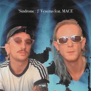Venerus & MacE 的头像
