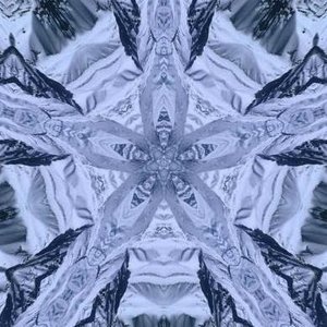 Avatar for White Triδngles