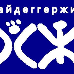 Хайдеггержив 的头像
