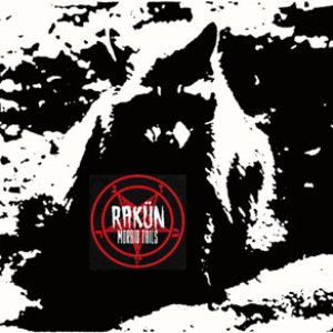 Rakun 的头像