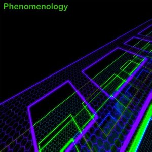 Phenomenology