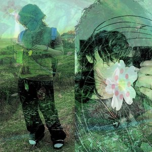 Cherry Blossom - Single