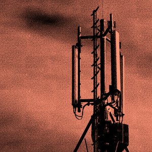 Larval Antenna 的头像