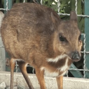 Awatar dla Luiza Kukulinska