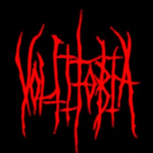 Avatar for Voltifobia