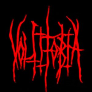 Voltifobia 的头像