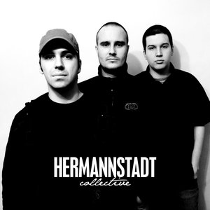 Hermannstadt Collective 的头像