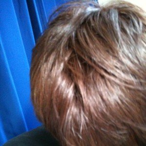 storz 的头像