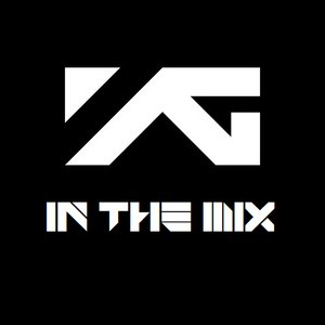 Image for 'YG Family In The Mix'