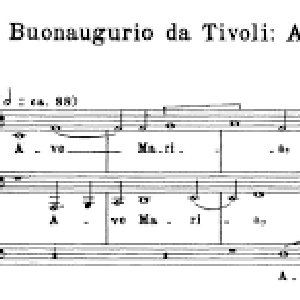 Giuliano Tiburtino Buonaugurio da Tivoli 的头像