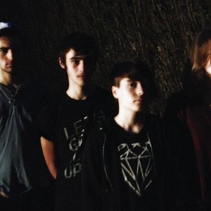 Les Citizen Foxes 的头像