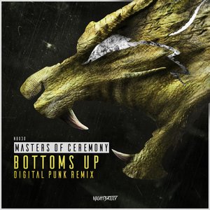 Bottoms Up (Digital Punk Remix)