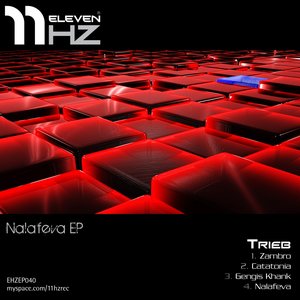 Nalafeva EP