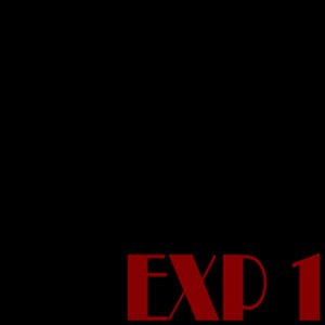 EXP1
