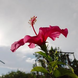 Sueños Lúcidos (Oh-oh)