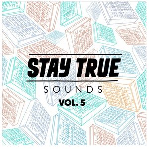 Stay True Sounds Vol.5 (Compiled By Kid Fonque)
