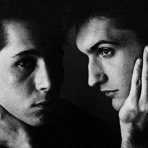 The Dolphin Brothers 的头像