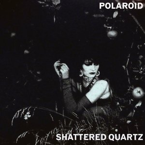 Polaroid