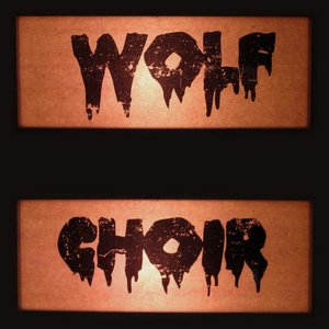 Wolf Choir 的头像