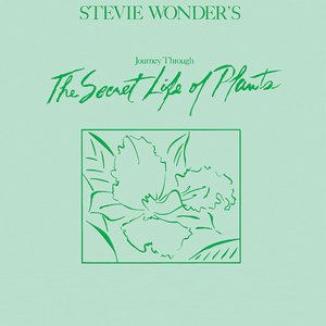 Stevie Wonder's Journey Through the Secret Life of Plants