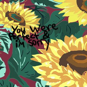 You Were Perfect & I'm Sorry - Single