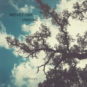 “We've Come Undone”的封面
