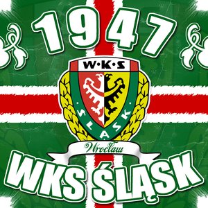 Аватар для Śląsk Wrocław