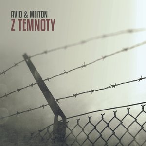 AVIO & MEITON 的头像