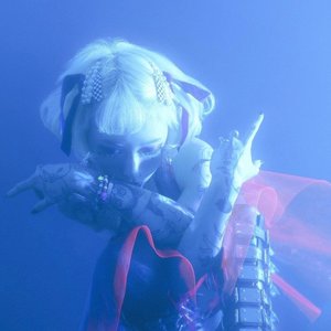 Lm4o 的头像