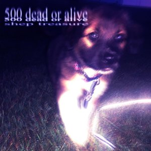500 dead or alive
