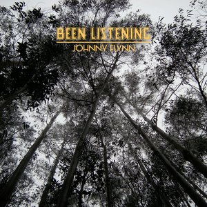 'Been Listening - Album Sampler'の画像