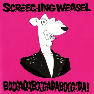 Screeching Weasel - i can see clearly now Lyrics - Zortam Music