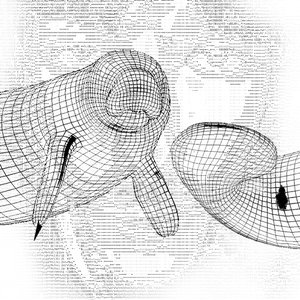 3D Foreskin