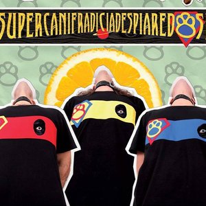 Supercanifradiciadespiaredosi 的头像