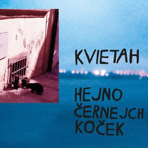 Hejno černejch koček