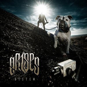 System