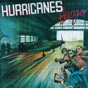 Hanger cover