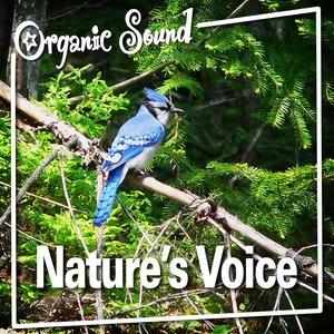 Nature's Voice (Nature Sound)