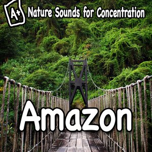 Nature Sounds for Concentration - Amazon