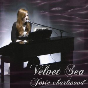 Velvet Sea - Single