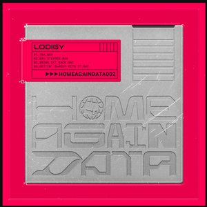 Home Again Data 02