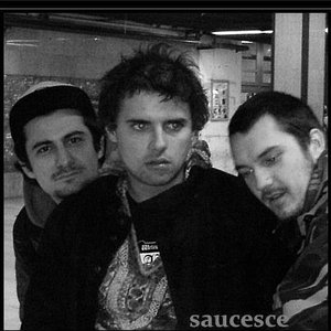 “Saučešće”的封面