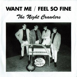 Want Me / Feel So Fine