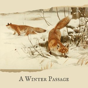 A Winter Passage