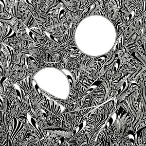 Paper Lights