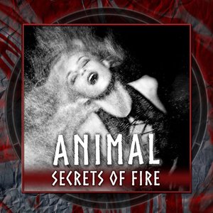 Animal - Single