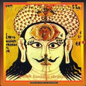 Kundalini Vibrations 2