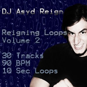 Image for 'Reigning Loops, Vol. 2'