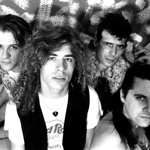 Violenti Lune Elettriche 的头像